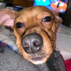 Meet your Posher, Paulina